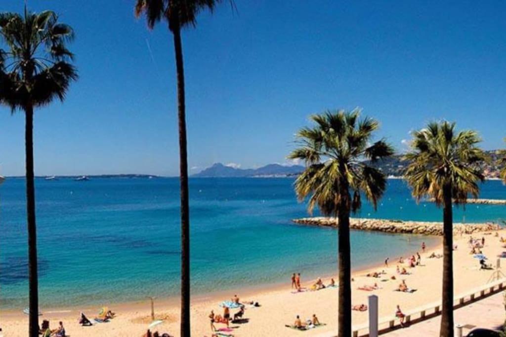 Apartment Newly Built With Pool, Walk To The Antibes